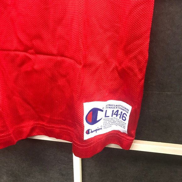 Allen Iverson Philadelphia 76ers Sixers NBA Jersey Vintage Champion - Picture 2 of 4